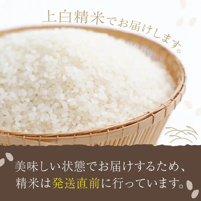 丹後コシヒカリ1等米令和7年産 5kgコシヒカリ