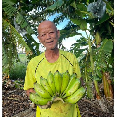 ふるさと納税 糸満市 沖縄でオジーが育てたこだわり アップルバナナ と アボカド 1玉 セット |  | 01