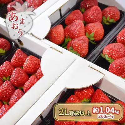 いちご あまおう 2L以上 約1.04kg（260g×4パック）東北 いちご