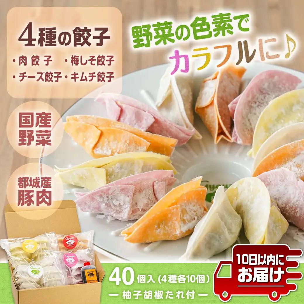 カラフル冷凍生餃子 食べ比べセット4種合計40個★肉・梅しそ・チーズ・キムチ★ ≪みやこんじょ特急便≫_LG-K601-Q_(都城市) 肉餃子 都城産豚肉使用 合計40個 4種類 柚子胡椒たれ付