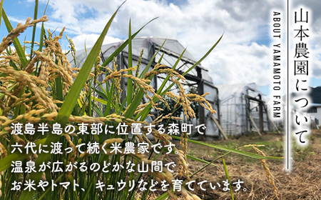 【先行予約】 【定期便】 つむぎ米 10kg【北海道産ゆめぴりか】令和6年産 全3回 《山本農園》 森町 こめ 精米 お米 米 白米 ゆめぴりか 北海道米 北海道産 北海道 mr1-0627