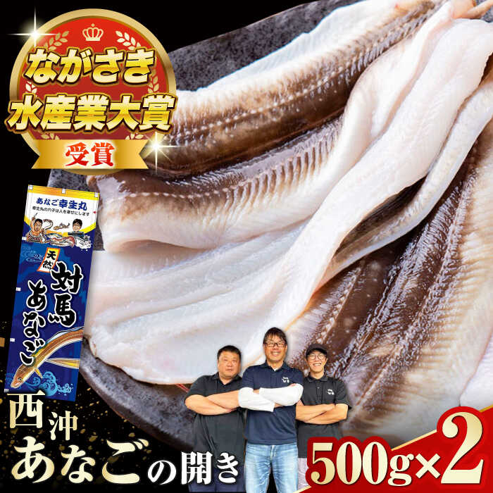 【ふるさと納税】【最速発送】対馬産 天然あなごの開き500g×2《対馬市》【すし処慎一】国産 肉厚 穴子 アナゴ 新鮮 冷凍 白焼き 天ぷら 揚げ物 贈り物[WCO002] スピード発送 最短発送