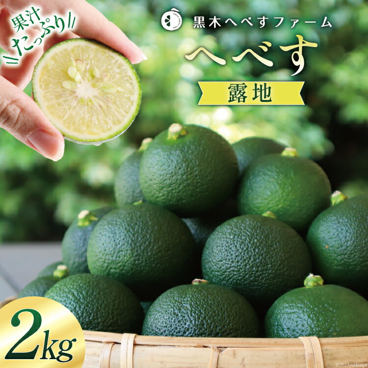 【ふるさと納税】【期間限定発送】 黒木へべすファーム自慢の《露地》 へべす 2kg [黒木へべすファーム 宮崎県 日向市 452060742] 柑橘 国産 ヘベス 平兵衛酢 ビタミンC アミノ酸