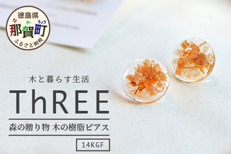 森の贈り物 木の樹脂 ピアス【徳島 那賀 木 樹脂 アクセサリー ピアス ジュエリー シンプル 上品 大人 エレガント かわいい おしゃれ オフィス 女性 レディース プレゼント ギフト 手作り】TR-12-2