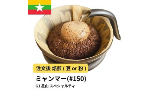 コーヒー #150 ミャンマー G1 星山 310g 当日焙煎 大山珈琲 （豆または中挽きから選択）