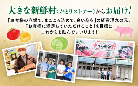 【全3回定期便】採れたてお野菜おまかせセット（5～6種）/ 野菜 やさい 野菜セット 野菜詰め合わせ 詰め合わせ セット / 大村市 / かとりストアー[ACAN126]