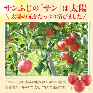 【2026年産】りんご「サンふじ」約10kg(28～36玉入) りんご