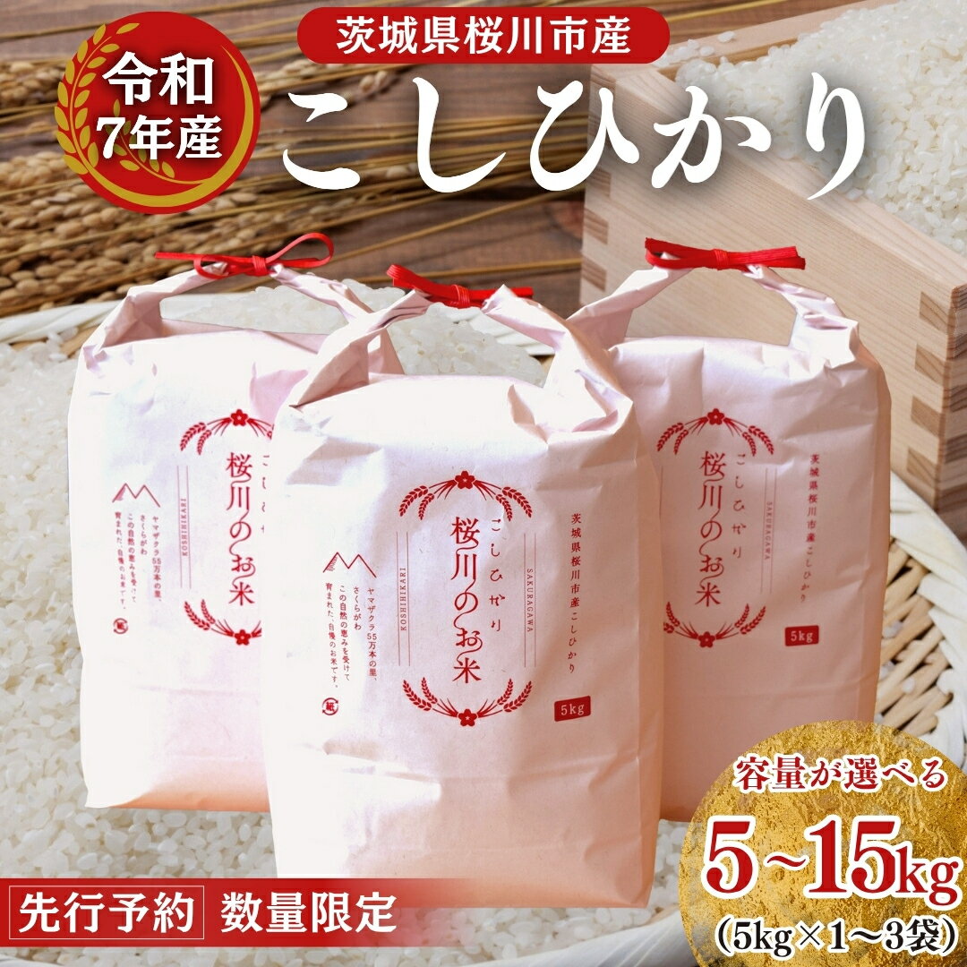 【ふるさと納税】【生産者支援】 《令和7年産 先行予約》茨城県 桜川市産 こしひかり 5kg 10kg 15kg 茨城県産 桜川 米 お米 白米 コメ ごはん 精米 コシヒカリ 国産 限定