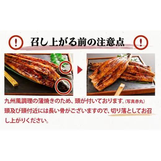＜最短発送(3～7営業日以内発送)＞【数量限定】『国産』うなぎ蒲焼 2尾 計400g