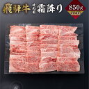 【ふるさと納税】飛騨牛 霜降り 焼肉 850g A4 A5 冷凍 牛肉 和牛 肉 国産 熨斗掛け バーベキュー 焼き肉 高級 ギフト 熨斗 のし 人気 寄合所 耕 ［Q2236x］ 36000円