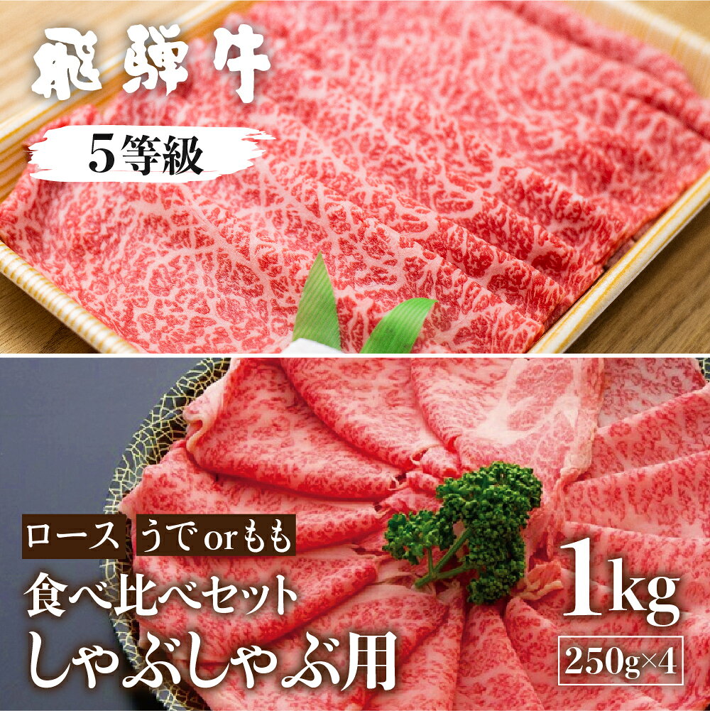 【ふるさと納税】 飛騨牛ロース・うでもも食べ比べセット 計1kg(250g×4) しゃぶしゃぶ用 国産牛 国産 牛肉 肉 厳選 熟成 贈答用 肉の沖村