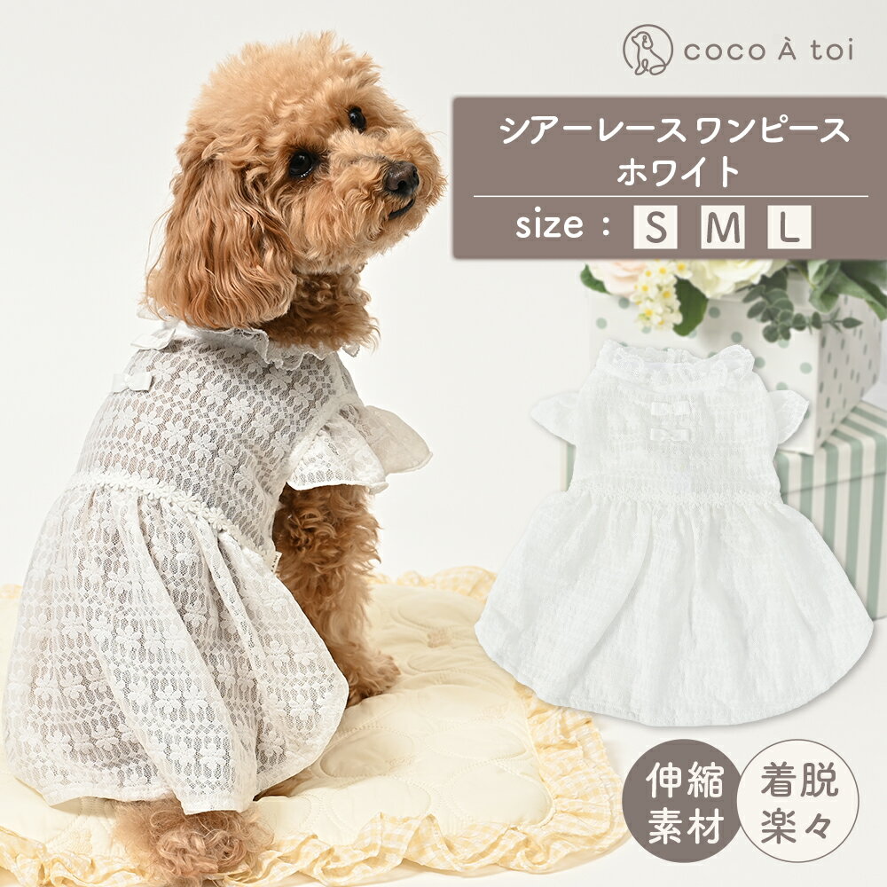 【ふるさと納税】シアーレース ホワイトワンピース 白レース 透け感 重ね着 ドッグウェア【ココアトワ(cocoAtoi)】