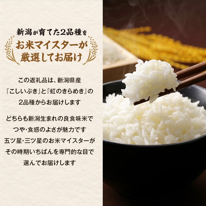 R8年産 新潟県産 品種おまかせ  10kg 2か月定期便 新潟県 新潟市産 令和8年産 お米 精米 米 ご飯 送料無料