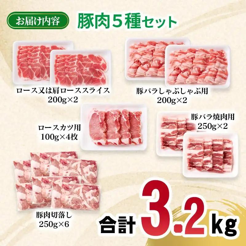 宮崎県産豚肉 5種 合計3.2kgセット 小分け 13パック 切り落とし ロース バラ＜70-23a＞