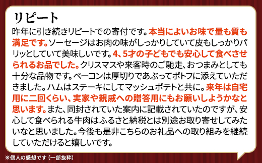 【無添加・無着色】こだわり加工品セットA(ハム・ソーセージ等1200g) 詰め合わせ 人気 ギフト【配送不可地域：離島】