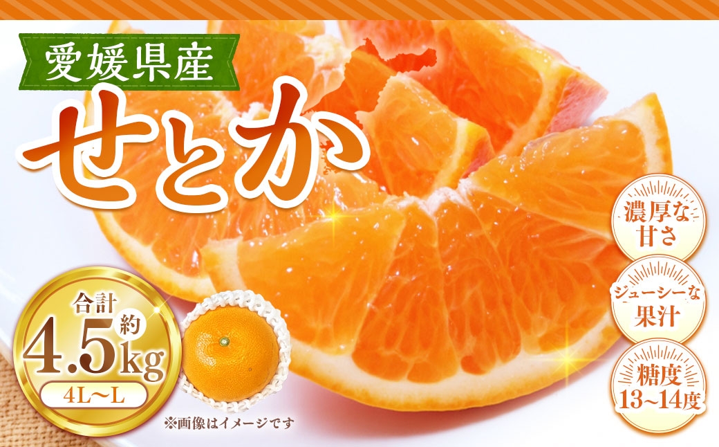 
                  せとか 約4.5kg みかん ミカン くだもの 果物 フルーツ 柑橘 柑橘系 柑橘類 果実 果汁 果肉 国産 【 2027年2月上旬～3月上旬発送予定 】 ( 1127 )
                