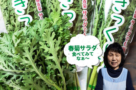 《令和7年産》サラダ春菊 100g × 5袋  計500g　政木農園　無農薬栽培 [Q657rewx_u] syun88 野菜