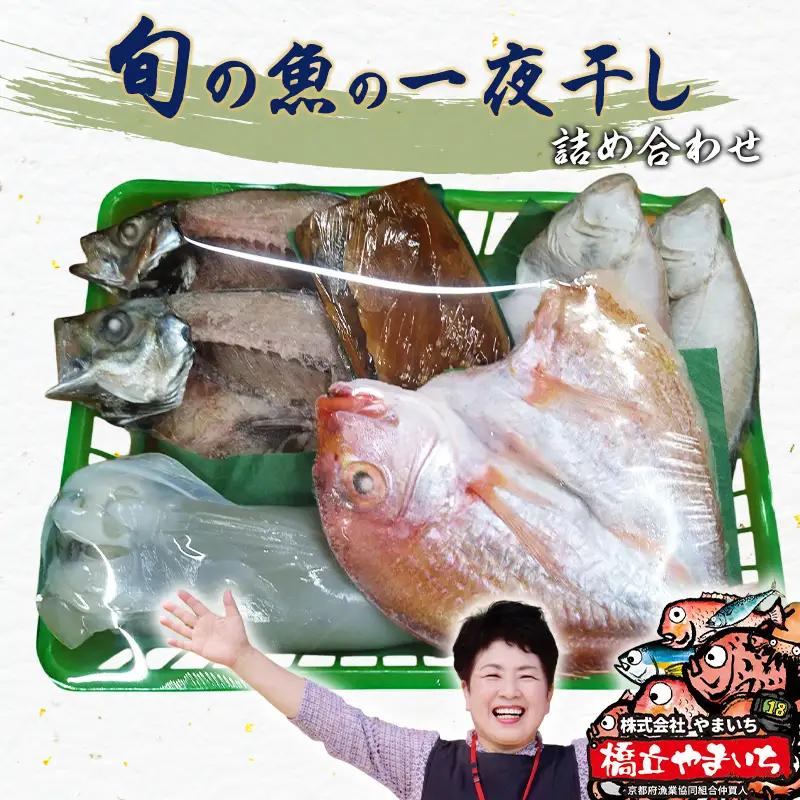 橋立やまいち 旬の魚の一夜干し詰合わせ 一夜干し 桜干し 橋立やまいち