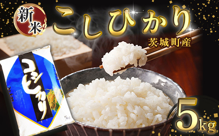 168【令和7年産】茨城町産 こしひかり 5kg【野口ライス】