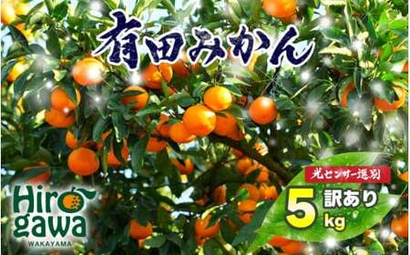 訳あり ご家庭用 農家直送 有田みかん 5kg サイズ混合 光センサー選別 ＜※11月中旬～翌年1月中旬に順次発送予定＞ ※北海道・沖縄・離島への配送不可 / 温州みかん みかん 訳あり わけあり 家庭用【nuk004-noka-c5A】