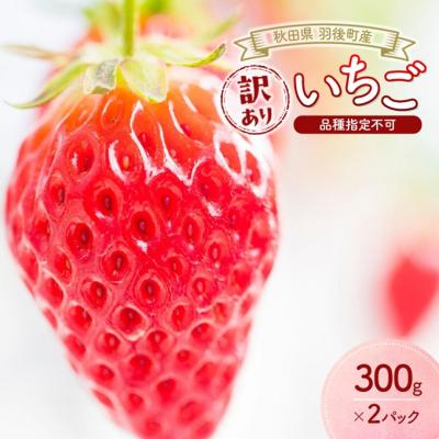 ふるさと納税 羽後町 訳あり いちご 品種指定不可 300g×2パック[No.5325-0511]