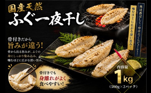 ふぐ 一夜干し １㎏ ショウサイフグ 干物 フグ 海鮮 魚介類 おすすめ グルメ おかず おつまみ ご飯のお供 蟹屋 KNY-SF01 下関 山口 《蟹屋：KNY》