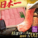 【ふるさと納税】【6回定期便】 特選ロース 焼肉 極厚 長崎和牛 A5ランク 700g《小値賀町》【株式会社 OGAWA】[DBJ013] 肉 和牛 黒毛和牛 長崎和牛 A5 ロース 肉厚 焼き肉 焼肉用 贅沢 定期便