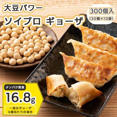 ふるさと納税 静岡市 居酒屋監修 ガツンと美味しい ソイプロテイン餃子(30個入×10袋)
