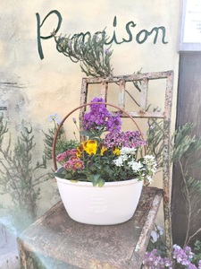 a10-1174　季節のおまかせ寄せ植えバスケット