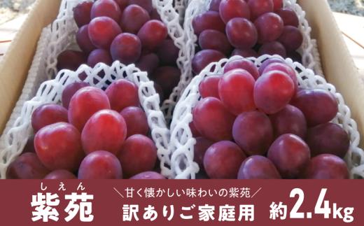 【2026年先行予約】訳ありご家庭用 紫苑(しえん)/ 約2.4kg (岡山県産)  【KF-B085-02】