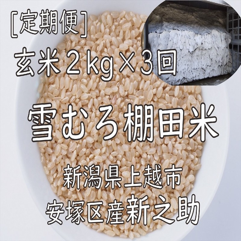
                  令和7年 新潟県産 棚田米 新之助 玄米 定期便 4kg 4キロ (2kg×2回) 雪中貯蔵 雪むろ しんのすけ お米 こめ 新潟 上越 米 送料無料
                