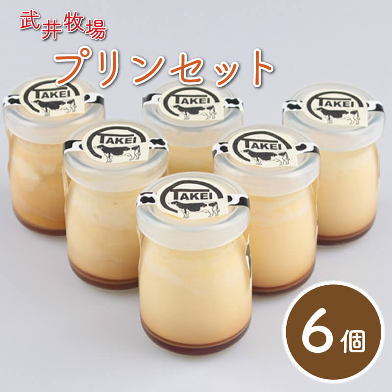 【ふるさと納税】 プリン 6個 セット 瓶入り うちだけの味 武井牧場 自家製 牧場 牛乳 洋菓子 ギフト 贈答 お取り寄せ スイーツ お菓子 デザート 静岡県 沼津市