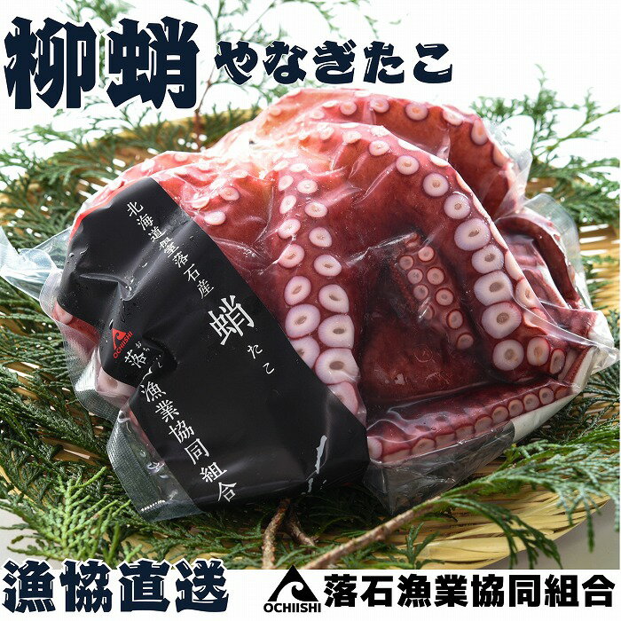 【ふるさと納税】【12月14日決済確定分まで年内配送】[北海道根室産]柳蛸ボイル5杯(計5kg) D-20011