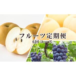 桃 ぶどう 梨 定期便 2026年 晴れの国 岡山 の フルーツ 定期便 6回コース もも 葡萄 なし 岡山県産 国産 セット ギフト