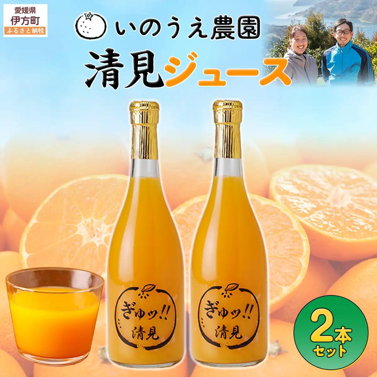 いのうえ農園 清見ジュース2本セット ※離島への配送不可 IKTAI016