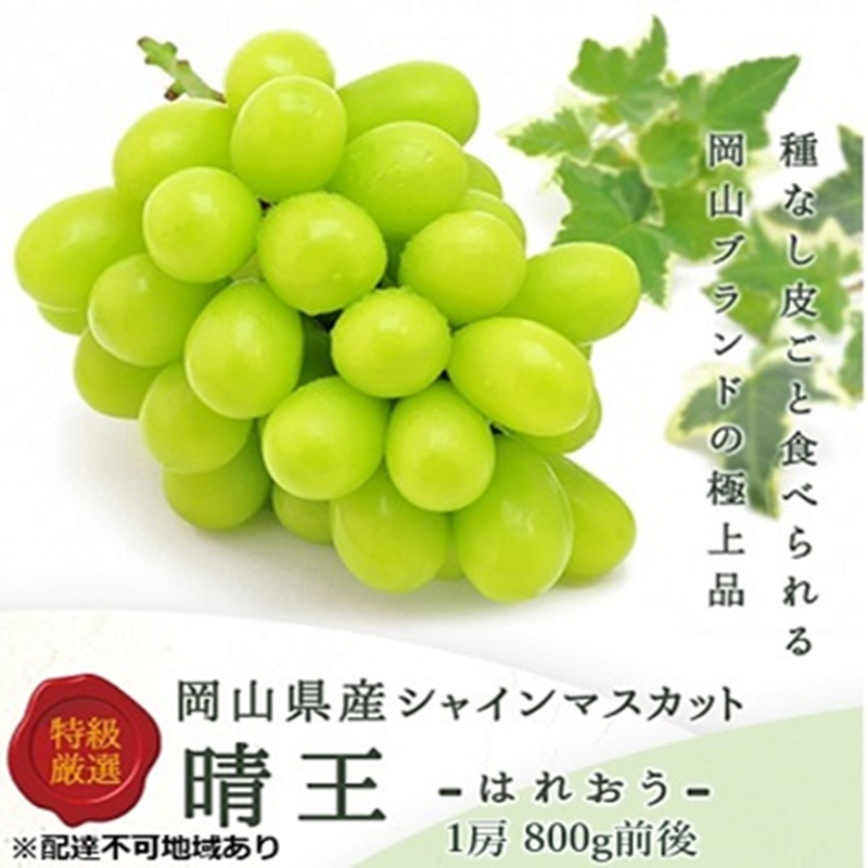 ぶどう 2026年 先行予約 シャイン マスカット 晴王 1房 800g前後 ブドウ 葡萄  岡山県産 国産 フルーツ 果物 ギフト 岡山のブドウ デザート 食べ物 日本産