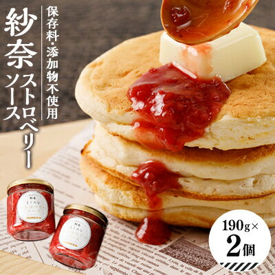【ふるさと納税】【2個入り】紗奈～はまだ農園 ストロベリーソース　190g×2　【配送不可地域：離島】【1556731】