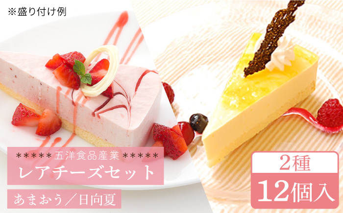 冷凍ケーキ レアチーズケーキ 2種 12個（あまおう / 日向夏） 糸島市 / 五洋食品産業 [AQD008]