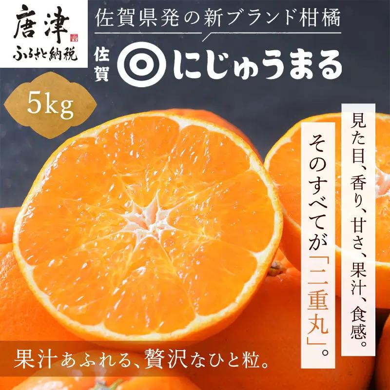 『先行予約』【令和9年3月上旬より順次発送】◎にじゅうまる◎ 5kg 佐賀県産【高級柑橘みかん】