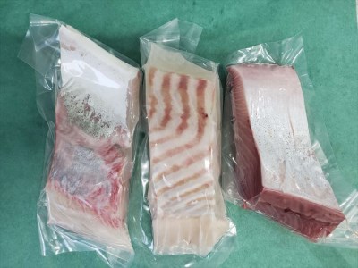 創業令和3年！何十年ぶりに浜田で鮮魚店誕生◎気合の入った刺身魚3種セット◎ 鮮魚詰め合わせ 鮮魚 お任せ セット 刺身 ブロック 冷凍 厳選 産地直送 お取り寄せ 真空 海鮮 魚介類 【171_163