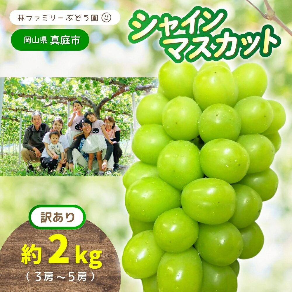 【ふるさと納税】【 訳あり 】岡山県産 林ファミリー の シャインマスカット 約2kg（約3～5房） 【2025年先行予約】 / 葡萄 ぶどう ブドウ マスカット 果物 フルーツ 新鮮 当日出荷 お試し お買い得 家庭用 ぶどう専門 岡山 真庭市