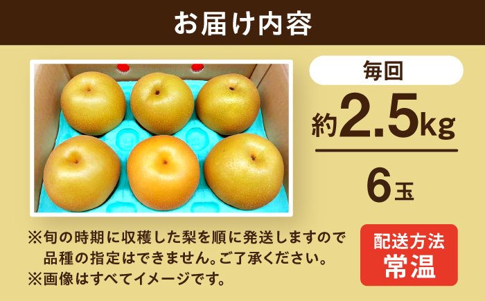 【2回定期便】朝採り旬の梨 約2.5kg（6玉）/回 計5kg 大村市 産直松吉/梨 なし 定期便 梨 幸水 豊水 秋麗 あきづき 新高 20世紀 二十世紀 かんた [ACZC012]