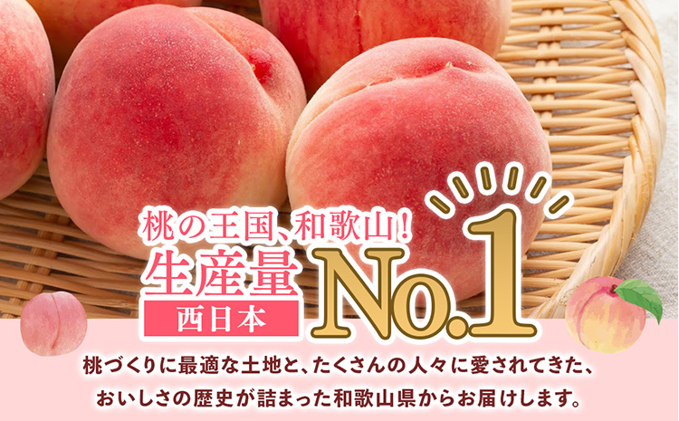 桃先行受付!　【川中島白桃】　(大玉特秀品)　約2kg　6～9個入　こだわり農家厳選!