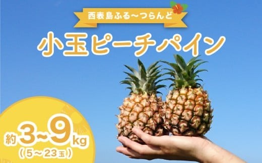 
                  【内容量が選べる】2027年 先行予約 小玉 ピーチパイン 約3～9kg(5～23玉) ★西表島ふる～つらんど★美味しさギュッと！ 果物 フルーツ パイン
                