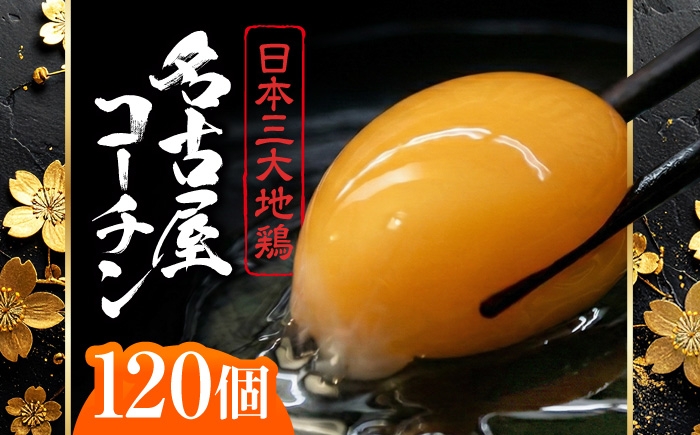 
                  名古屋コーチン 卵 120個（10個入×12パック）（保証20個含） / 卵 たまご 玉子 鶏卵 名古屋コーチン / 稲沢市 / 櫛田養鶏場 [BMAY002]
                