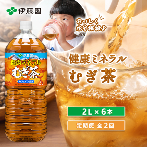 『定期便：全2回』健康ミネラルむぎ茶2L×6本【50000801】