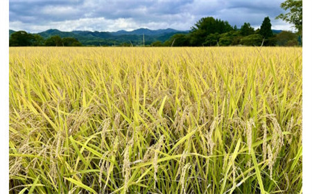 【令和8年度産】ユキノチカラ米　銀河のしずく　玄米５kg