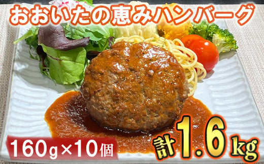 
おおいたの恵みハンバーグ1.6kg[160g×10個]( 大分の恵み ハンバーグ レンジでチンするだけ ) ハンバーグ 国産 人気 牛肉 冷凍 豚肉 牛 ＜130-001_5＞
