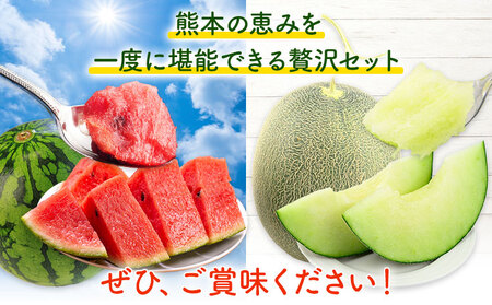 小玉スイカ&肥後グリーンメロン 食べ比べ 各1玉(計2玉 約3.5kg)  日本フルーツ株式会社 《5月中旬-7月末頃出荷》 熊本県 菊池市 西瓜 メロン 熊本県産