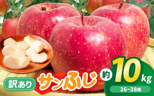 サンふじ　訳ありリンゴ　10kg｜りんご サンふじ 甘い 訳あり品 美味しい フルーツ 伊那 伊那産 長野県 ふるさと納税【017-24】